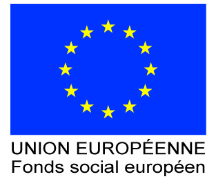 DRAPEAU UNION EUROPEENNE FSE