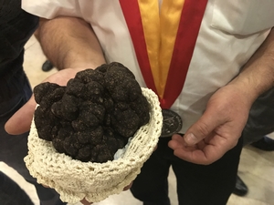 Gagnante du concours de la plus grosse truffe en 2018 : une Huber Mélanosporum de 461 grammes, vendue à 400€