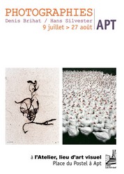 denis brihat hans silvester