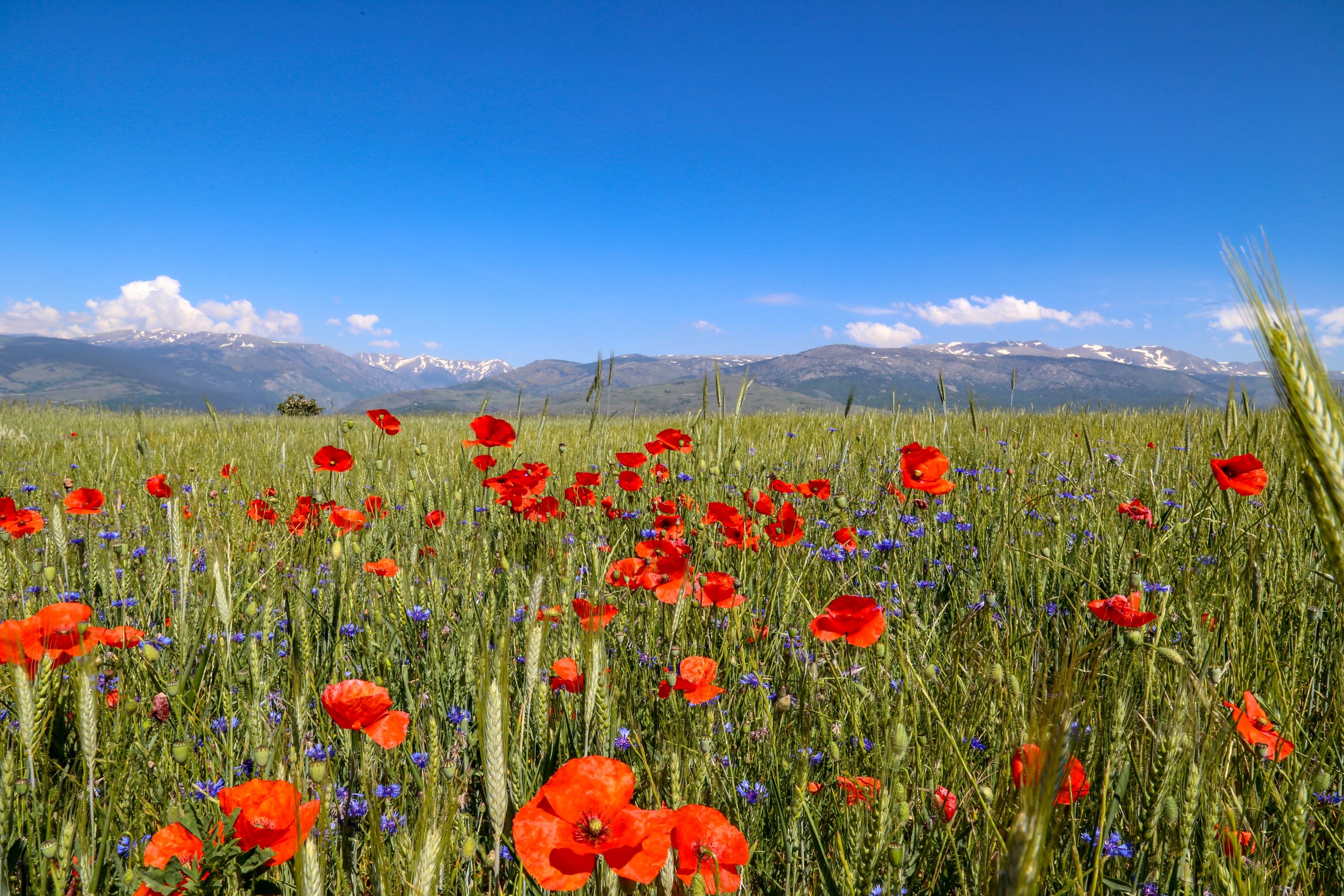 <span>DÉCOUVRIR</span> LE LUBERON