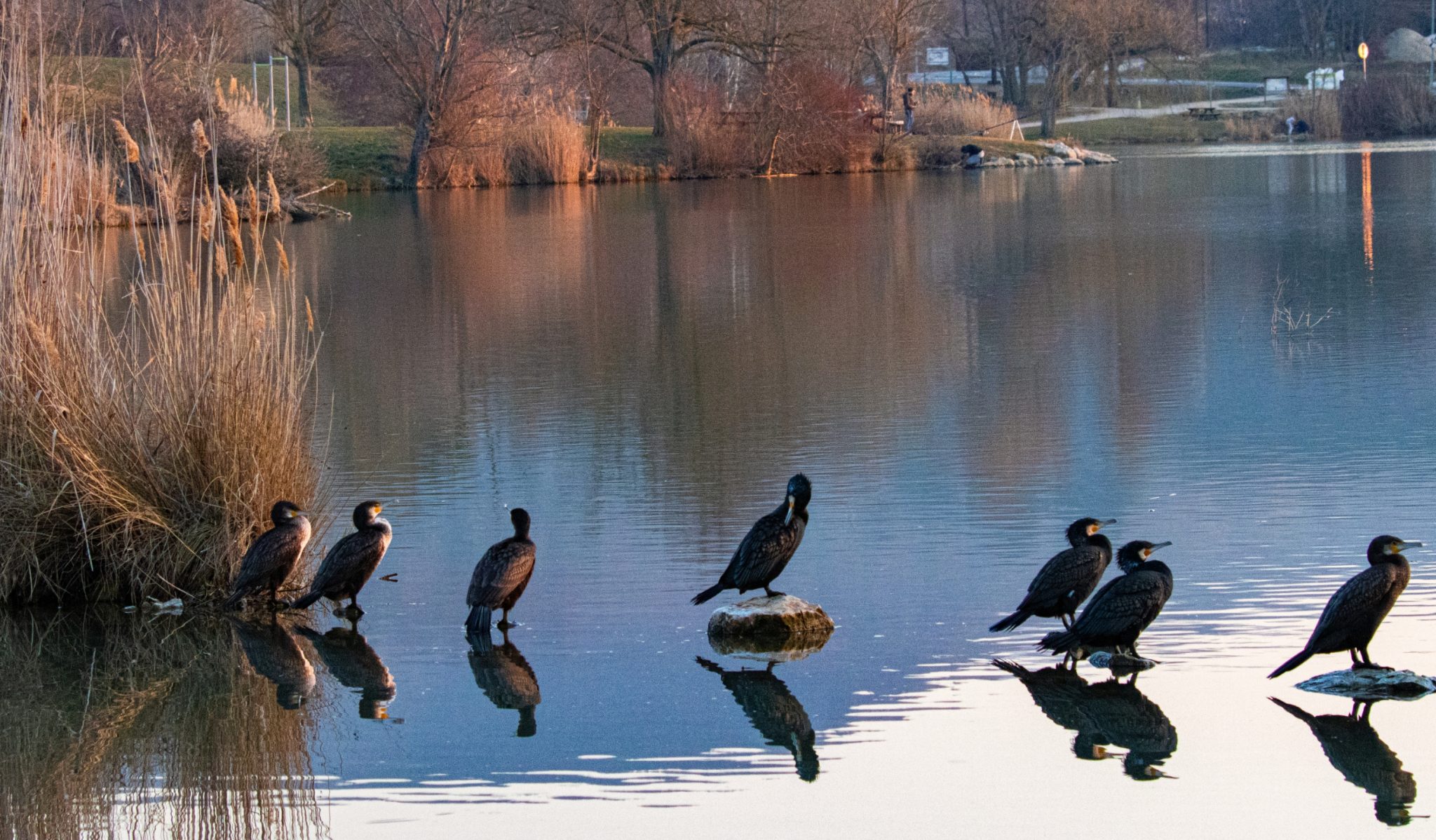 Plan d'eau @concours photo